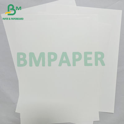 Material de carta sintética PET impermeável liso de 180mic