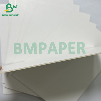 Cartão de bolhas FBB SBS de 2 mm de espessura e revestido de argila de dois lados