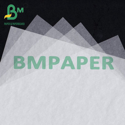Folhas de papel de vidro translúcido de 8 x 11,5 polegadas para proteger fotos