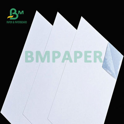 Cartão revestido de alta polpa branco Cartão de núcleo azul 280 gm 300 gm
