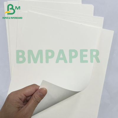 100 grs 200 grs Reciclável Grade Alimentar Bagasse Pulpa de papel branco