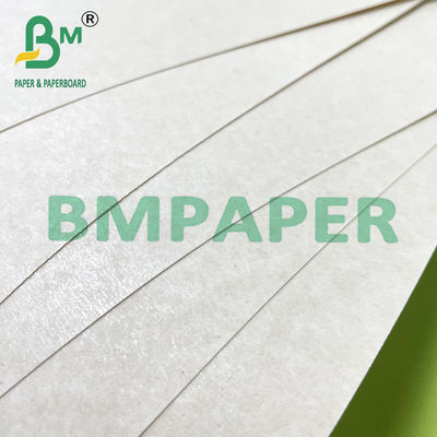 90 ~ 360gm Papel de fibra de cana de açúcar ecológico para copos descartáveis