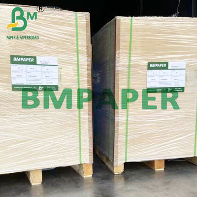 90 ~ 360gm Papel de fibra de cana de açúcar ecológico para copos descartáveis