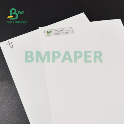 Papel de impressão sintético de alta densidade, impermeável a água, de PP mate, para hangtags, de 150 mm