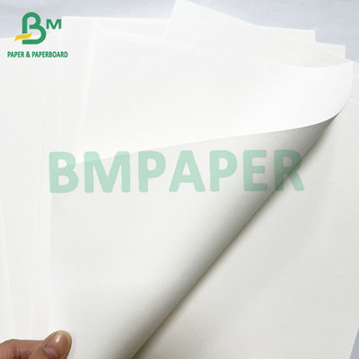 Papel de impressão de livros coloridos de marfim Jumbo Roll 40lb 60lb Offset Text