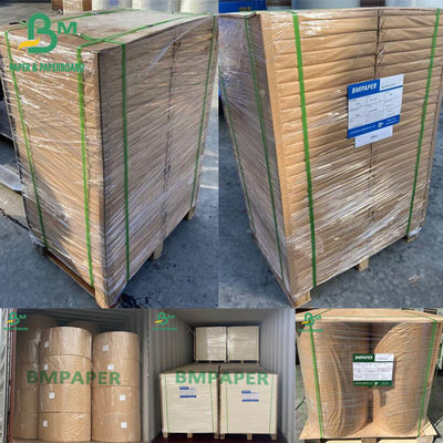 Papel Blotter Papel branco 0.4 mm 0.5 mm 0.6 mm 430 x 610 mm 500 folhas Ream Pack