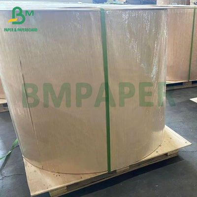 48gm 55gm Jumbo Roll Paper térmico para caixas eletrônicos e POS