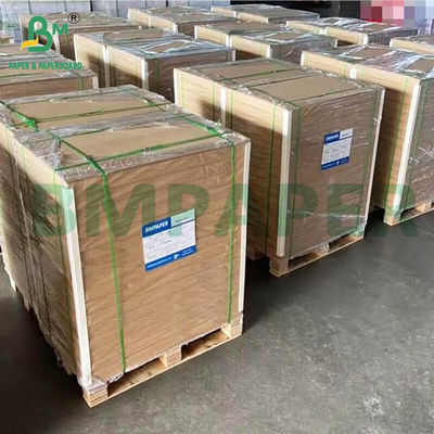 Papel sintético revestido de resina de ambos os lados, de alta resistência ao rasgão, para impressão de bandeiras