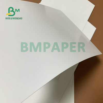 275 gm + 15 gm Folha de papel branco revestida em PE 74 x 106 cm Para caixas de embalagem congeladas