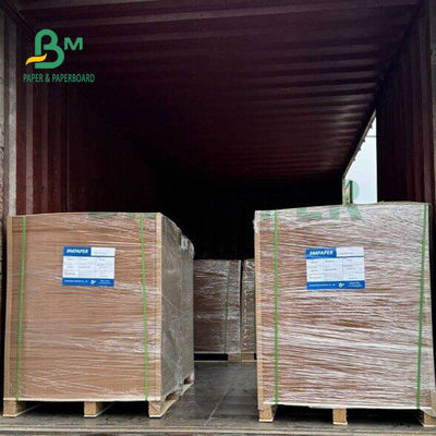 270 gm 300 gm cartão Kraft castanho de qualidade alimentar para caixas de almoço 24' x 36'