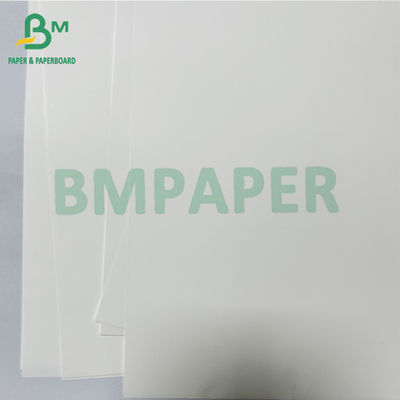 125 Rolo de papel sintético térmico médico antibacteriano liso