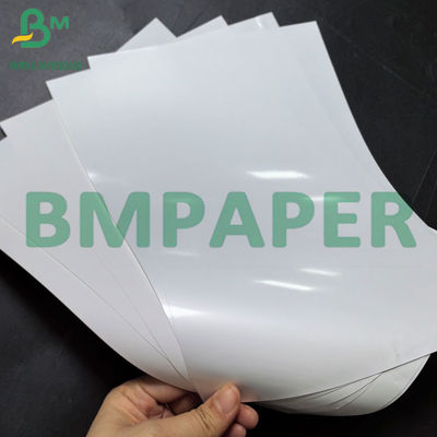 Papel sintético térmico revestido de 220gm com papel de rolos de PP térmico de fusão quente