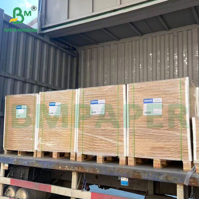 Papel branco não revestido natural compostável