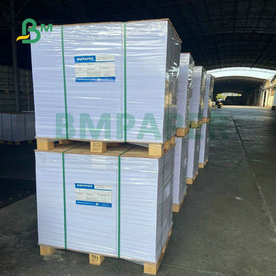 70 x 100 cm 100% Fibras primárias 1,5 mm 2 mm Espessura Papel absorvente para fazer subterrâneas