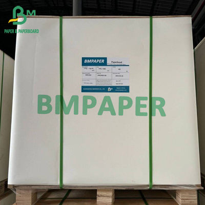 Papelão branco de qualidade alimentar congelado 15g Painéis revestidos de PE único Personalizar folhas grandes