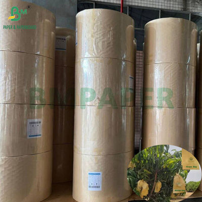 Saco de proteção para o cultivo de mangas Brilhante 30gm Interior papel preto Rolo à prova de sol