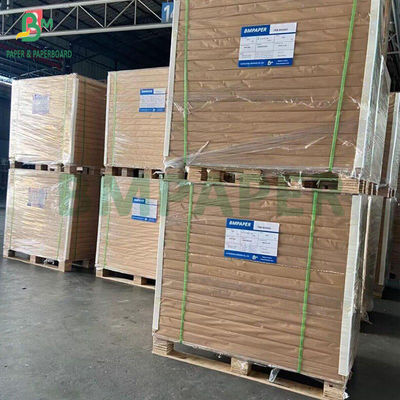270gm High Bulk FBB Board For Medicine Box 600 x 900mm Resistente à Dobragem