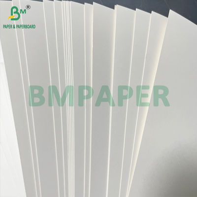Reciclável Liso 350gm + 20g de um lado PE revestido Placa de comida branca 900mm