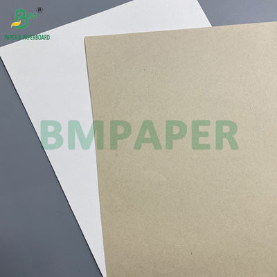130 g 300 g Papel de Pulpa de Cana-de-Açúcar Natural Bagasse para Placas de Alimentos Rollos Cartão biodegradável