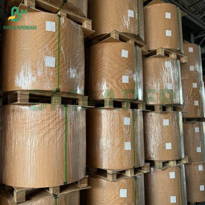 130 g 300 g Papel de Pulpa de Cana-de-Açúcar Natural Bagasse para Placas de Alimentos Rollos Cartão biodegradável