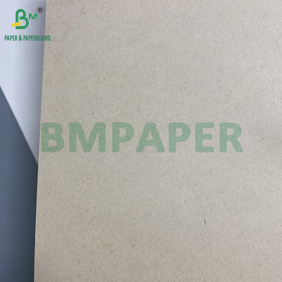 130 g 300 g Papel de Pulpa de Cana-de-Açúcar Natural Bagasse para Placas de Alimentos Rollos Cartão biodegradável
