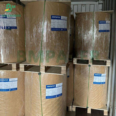300 gm Papel de Pulpa de Cana-de-Açúcar Natural Bagasse para Fixar Etiquetas Biodegradável 700 mm