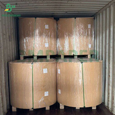 300 gm Papel de Pulpa de Cana-de-Açúcar Natural Bagasse para Fixar Etiquetas Biodegradável 700 mm