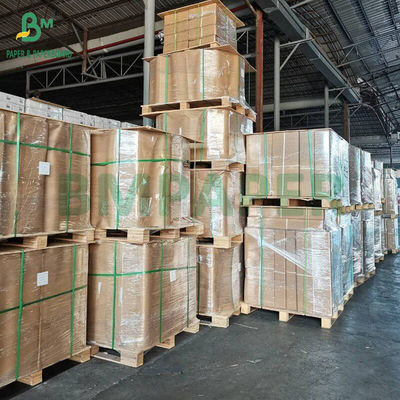 Alta resistência à ruptura 250 gramas 270 gramas Brown Kraft Liner para Cartão de presente 61 x 86cm