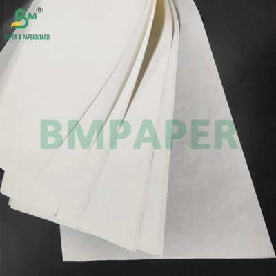 40 g Cupcake Liner resistente à gordura Papel de qualidade alimentar para suporte de muffin 70 x 100cm