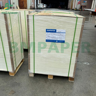 Papel revestido com revestimento de PE, adequado para bebidas alimentares quentes e frias