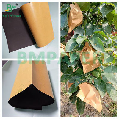 Sacos de papel de proteção de manga de frutas castanhas e pretas