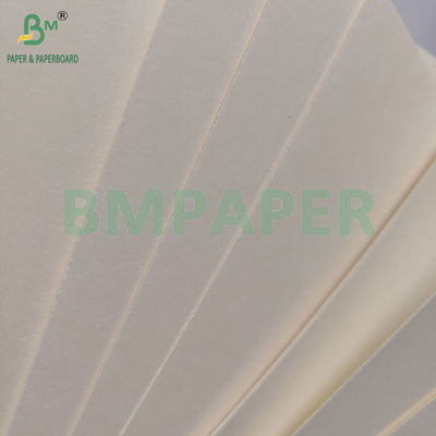 230 gm+18pe Papel de Copo Disponível P2S Matte Para Bebidas Quentes/Frias