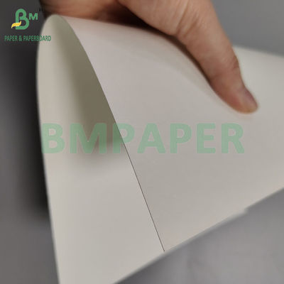 230 gm+18pe Papel de Copo Disponível P2S Matte Para Bebidas Quentes/Frias