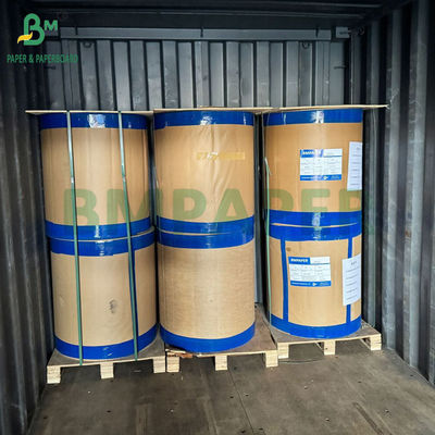 55 gm 790 mm 795 mm Recibo Papel térmico Jumbo Roll