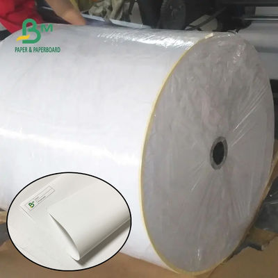 55 gm 790 mm 795 mm Recibo Papel térmico Jumbo Roll