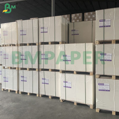 240 g de papel branco para copos 100% pasta de madeira e não revestido para copos