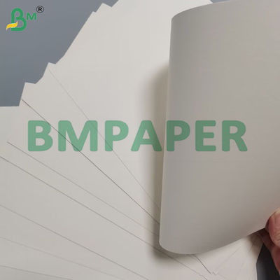 190g Papel de Taça 100 % Papel de Madeira Virgem Custom Coated For Paper Bowl