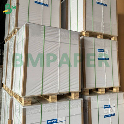 Papel de filtro de café descartável castanho 100 Contar 2-4 xícaras Papel ondulado