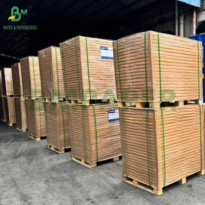 50 gm Folha de papel de filtro de café castanho natural não branqueado de qualidade alimentar Matéria-prima