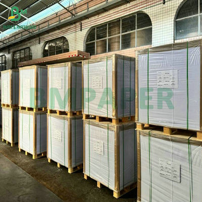 900 X 1194 mm 100% Branco puro 0,6 mm 0,7 mm Espessura Papel absorvente para roldanas