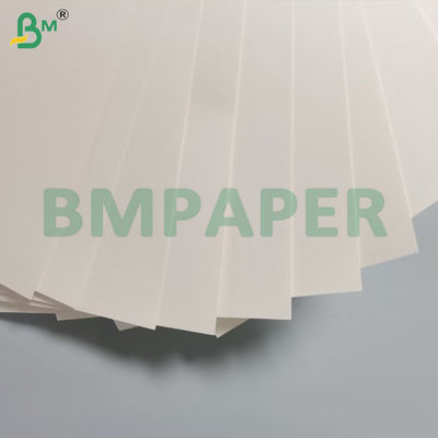 270g + 15g PE Base de Copo Papel de Lado Único revestido de Madeira Virgem 70 * 100cm