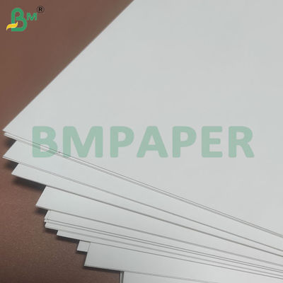 135-350 GSM Rolo de papel para recipiente de alimentos de alta rigidez para tigela de papel