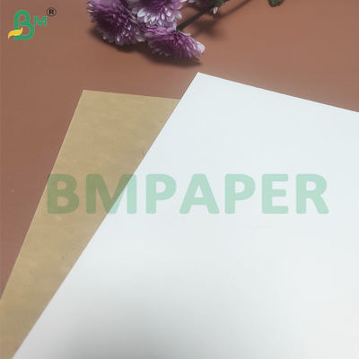 135-350 GSM Rolo de papel para recipiente de alimentos de alta rigidez para tigela de papel