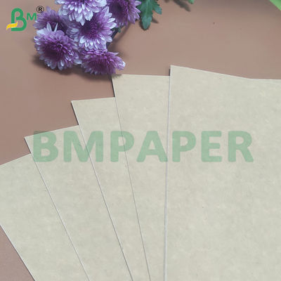 135-350 GSM Rolo de papel para recipiente de alimentos de alta rigidez para tigela de papel