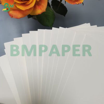 210 g + 15 g de papel de tigela de qualidade alimentar PE revestido de rolos de pasta de madeira virgem