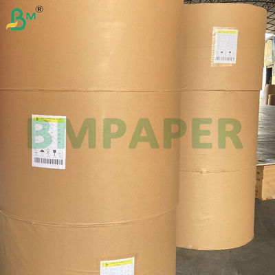 210 g + 15 g de papel de tigela de qualidade alimentar PE revestido de rolos de pasta de madeira virgem