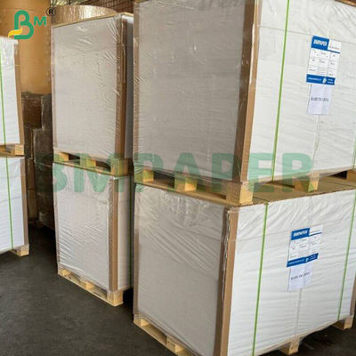180g + 15g PE Cup Stock Paper Signle Side Coated Board Waterproof High Folding Resistent