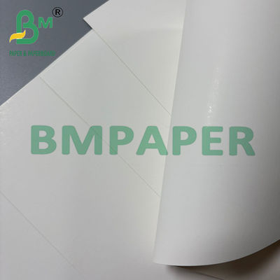 250 gm de cartão natural branco de caixa dobrável de cartão FBB SBS 70 * 100cm
