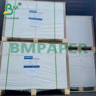 200 g de papel de base de taça 100% de pasta de madeira virgem de lado único revestido com PE