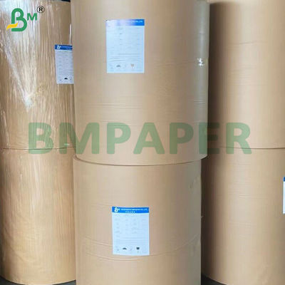 Papel com superfície lisa revestido com PE para embalagens de alimentos sustentáveis